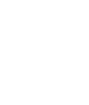 Ajo Negro
